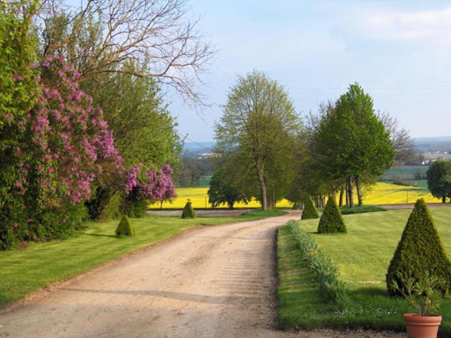 Chambres D'Hotes Le Chateau De La Plante Thure Екстер'єр фото