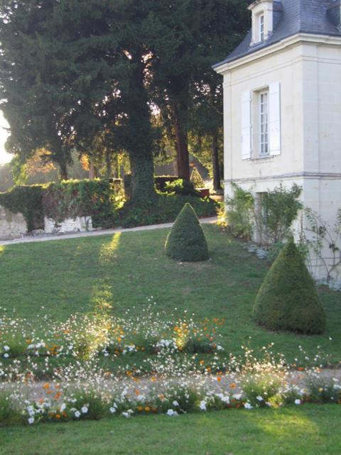 Chambres D'Hotes Le Chateau De La Plante Thure Екстер'єр фото